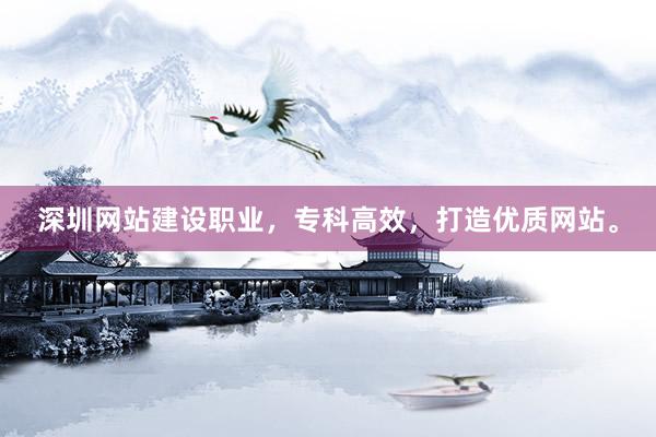 深圳网站建设职业，专科高效，打造优质网站。